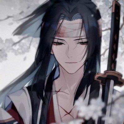 赵子琪置顶是藏海传